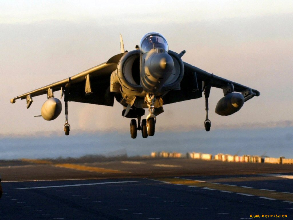 harrier, , , 